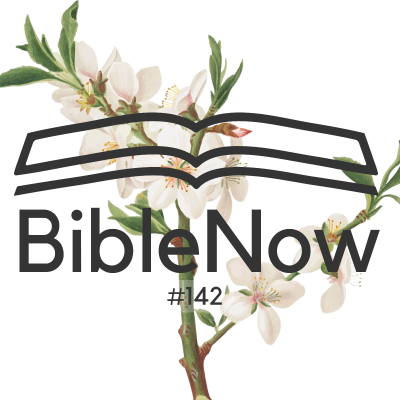 episode BibleNow #142: 4. Mose 17,6-18,7 artwork