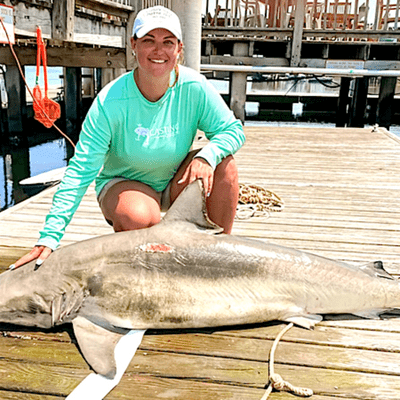episode Nikki Colwell's SC state record spinner shark artwork