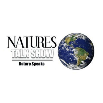episode Volcanoes and Their Effects on Life - Fine Art of Paleontology artwork