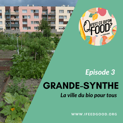 episode #3 : Grande-Synthe, la ville du bio pour tous artwork