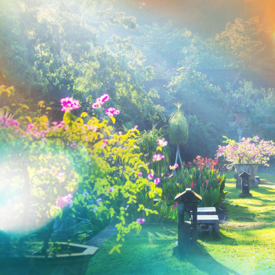 episode Karmels hage - Trosbekjennelsen 38: Lammets nattverd artwork