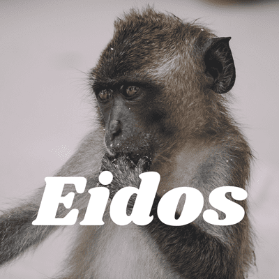 Eidos