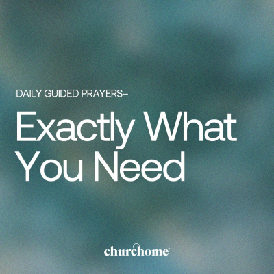 episode Exactly What You Need artwork