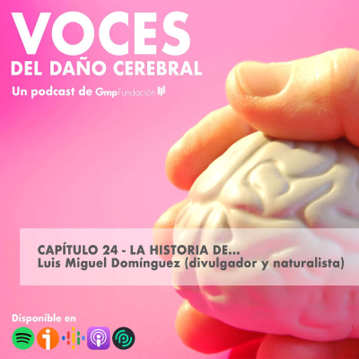 episode VOCES DEL DAÑO CEREBRAL. Capítulo 24 – La historia de Luis Miguel Domínguez artwork