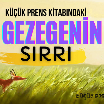 episode Küçük Prens Okumaları 1. Bölüm - Dr. Duygu Dinçer artwork