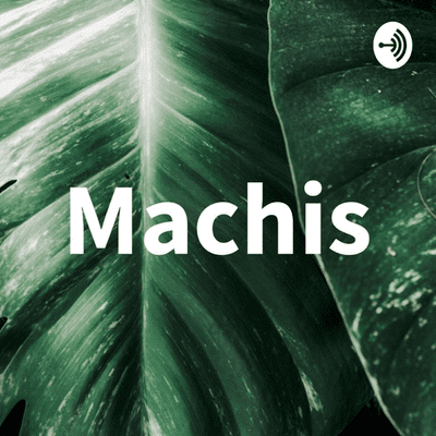 Machis