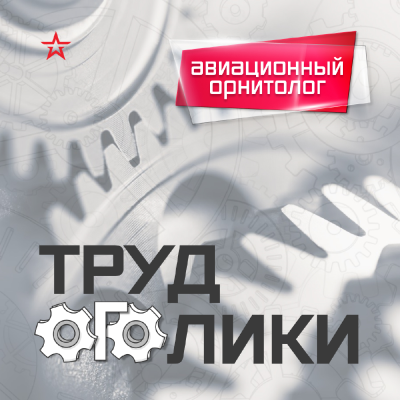 episode Профессия: авиационный орнитолог artwork