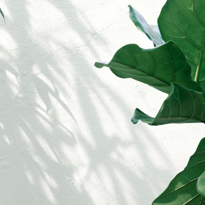 episode Stripping Down to Essentials: Exploring Minimalism in Midlife artwork