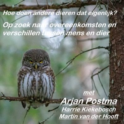 Hoe doen ándere dieren dat eigenlijk??