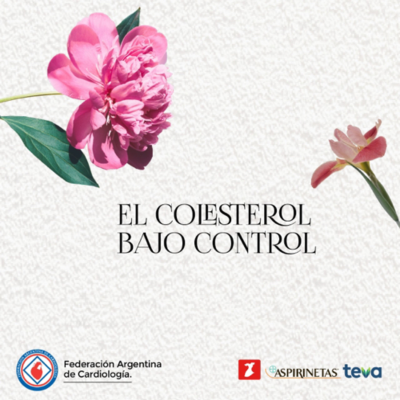 episode Episodio 9: El colesterol bajo control artwork