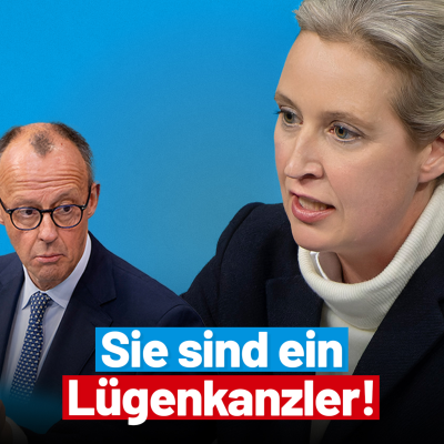episode Herr Merz, Sie sind ein Lügenkanzler! - Rede von Alice Weidel im Bundestag artwork