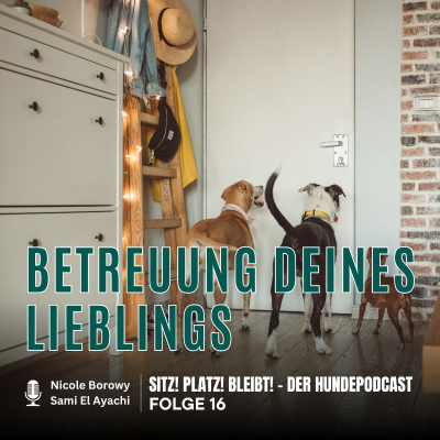 episode #16 Nachbarn, Hundesitter oder Hundehotel? Wer springt ein, wenn du mal ohne Hund sein musst? artwork