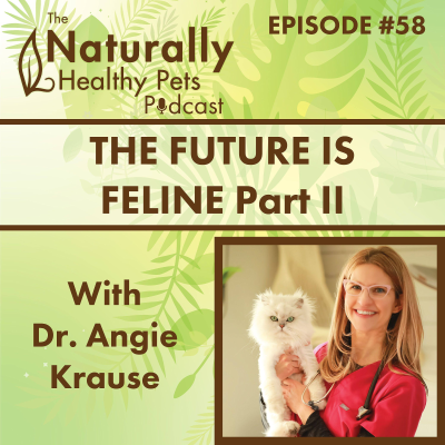 episode EP 58: The Future is Feline Part 2 with Dr. Angie Krause artwork