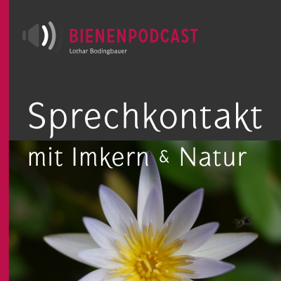 Sprechkontakt | Bienengespräche