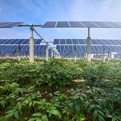 episode Agrivoltaica: la unión de fotovoltaica y agricultura, con Marta Varo, Rafael López y Luis Manuel Fernández (Universidad de Córdoba) #38 artwork