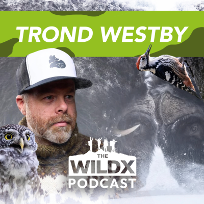 episode Episode 28 - TROND WESTBY - Norwegian Wildlife Photographer & YouTuber artwork
