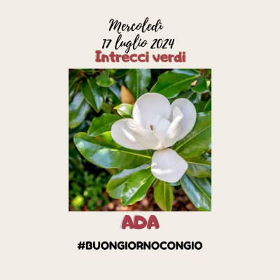 episode 2024_07_17 Ada, la Magnolia artwork