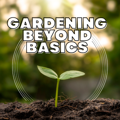 episode Breeding Seeds That Best Fit Your Growing Conditions artwork