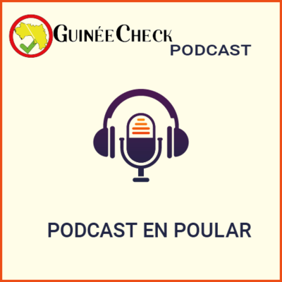 episode Comprendre les causes de la désinformation communautaire artwork
