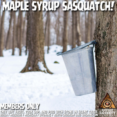 episode Bigfoot Steals Maple Sap in Missouri! | Members Only Episode A17 PREVIEW artwork