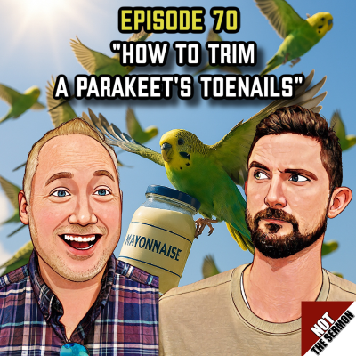episode Episode 70: "How to Trim a Parakeet's Toenails" artwork