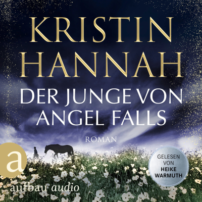Cover image Der Junge von Angel Falls - Wenn Engel schweigen (Gekürzt)
