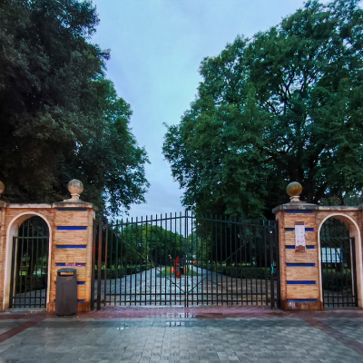 episode Sevilla Informa 13 de noviembre de 2025 artwork