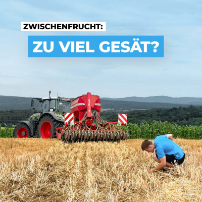 episode Die optimale Saatstärke einer Zwischenfrucht artwork