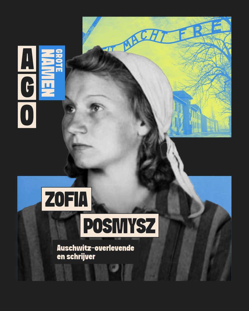 Alle Geschiedenis Ooit cover