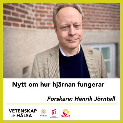 episode Nytt om hur hjärnan fungerar artwork