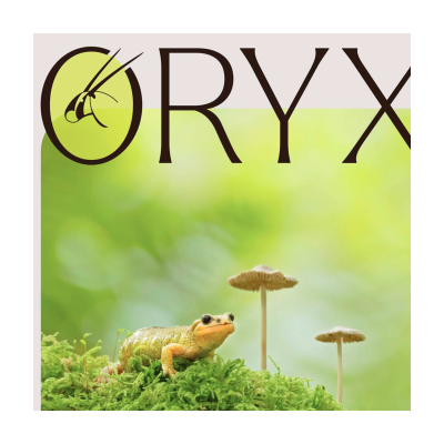 episode 26 - El del viatge a Svalbard, la revista Oryx i el Guardabosques Wild Podcast artwork