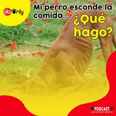 episode Episodio 126: Mi perro esconde la comida artwork