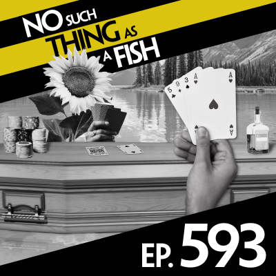 episode 593: No Such Thing As A Barney The Dinosaur In Westminster Abbey artwork