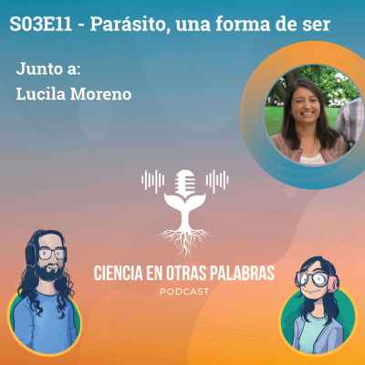 episode S03E11 - Parásito, una forma de ser artwork