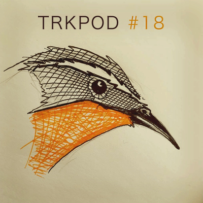 episode TRKPOD #18: ChillPOD // May 2020 artwork