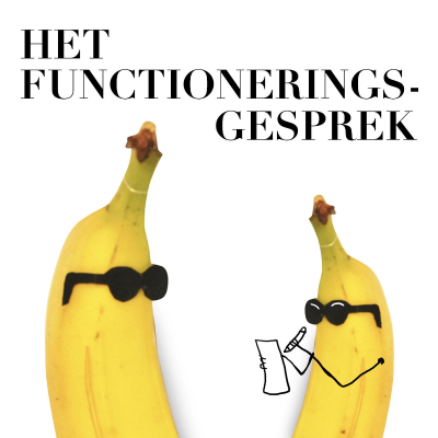 Het Functioneringsgesprek