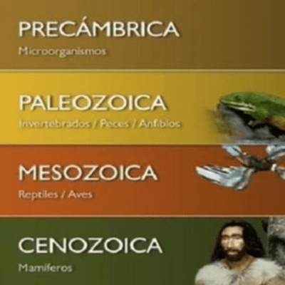 Eón Fanerozoico.