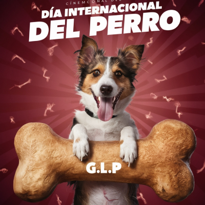 episode Día Internacional del Perro. Fundación Amigos del Perro artwork