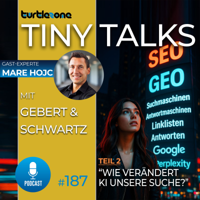 episode Neue Turtlezone Tiny Talks - Wie verändert KI unsere Suche? (Teil 2) artwork