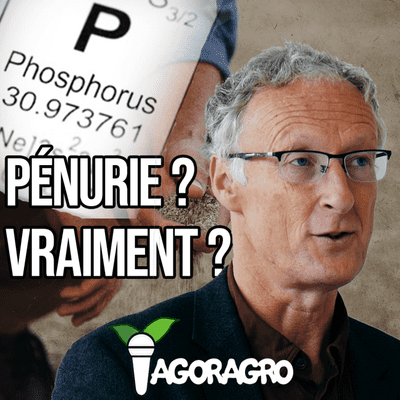 episode Phosphates : quels enjeux pour l'agriculture de demain ? | avec Sylvain Pellerin, directeur de recherche à INRA artwork