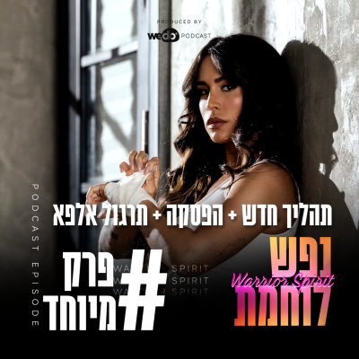 episode מיוחד: תהליך חדש + הפסקה + תרגול אלפא artwork