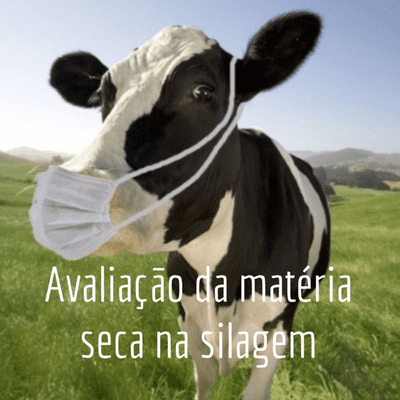 Avaliação da matéria seca na silagem