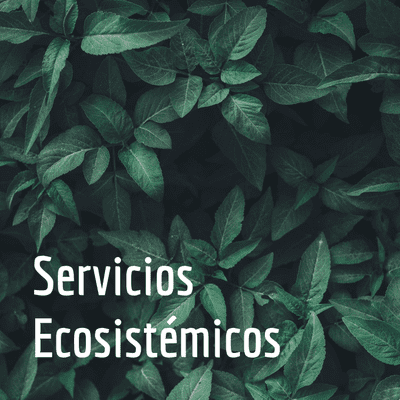 Servicios Ecosistémicos