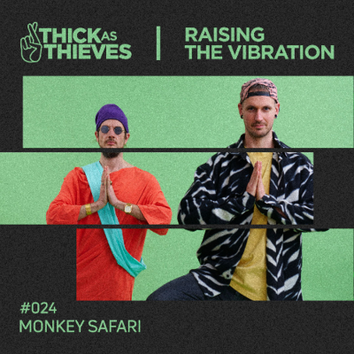 episode Raising the Vibration Mix #24 — Monkey Safari artwork