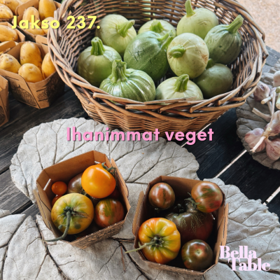 episode 237. Ihanimmat veget artwork