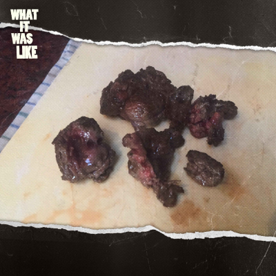 episode I Cooked and Ate My Own Foot artwork