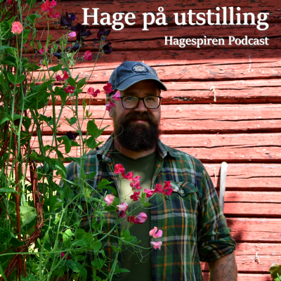 episode 29/25: Hage på utstilling med Tommy Tønsberg artwork