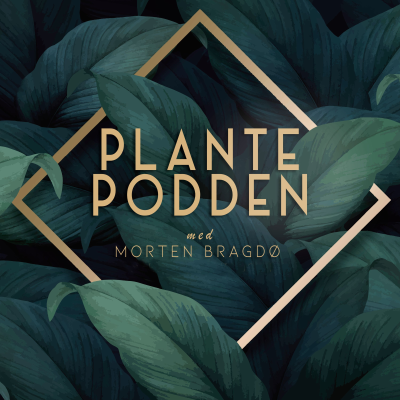 Plantepodden