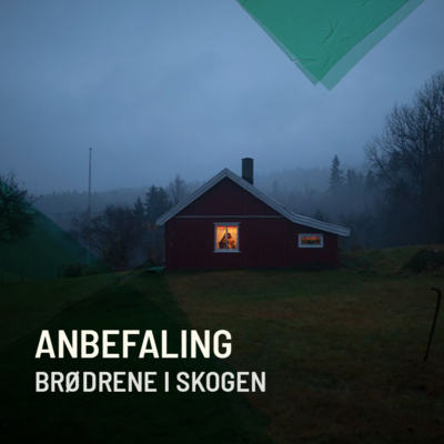episode Anbefaling: Brødrene i skogen artwork