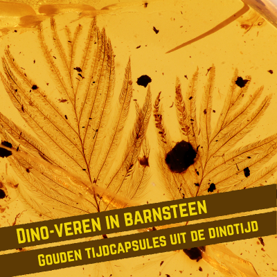 episode S3E3: Dino-veren in barnsteen: gouden tijdcapsules uit de dinotijd artwork